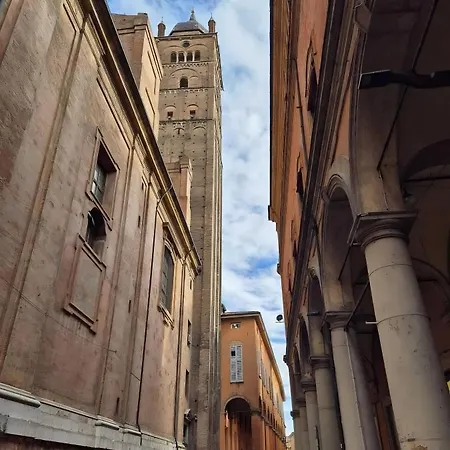 Aviana Bologna