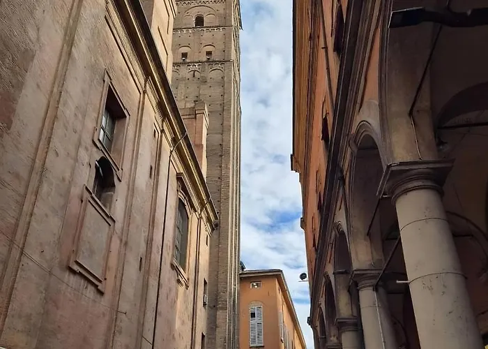 Aviana Bologna